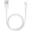 Apple Lightning auf USB Kabel