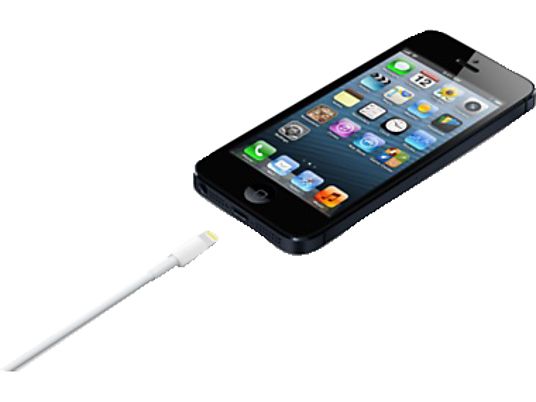Apple Lightning auf USB Kabel